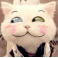 超级无敌大肥猫